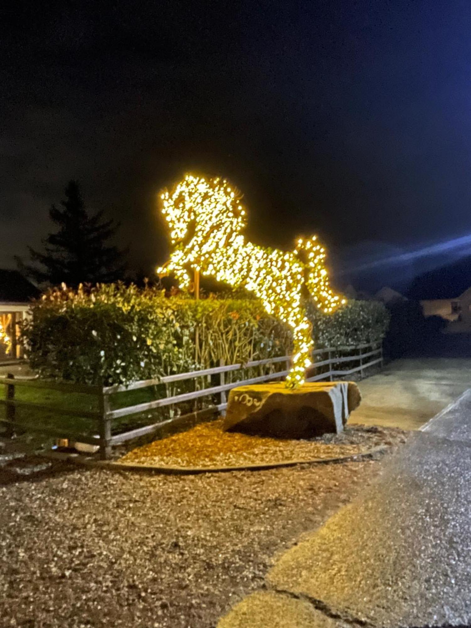 Greenvale Cabins Forkhill Zewnętrze zdjęcie